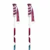 Swix W3 Poles -Swix Online Store swix w3 poles