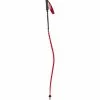 Swix World Cup Pro DH Carbon Alpine Poles -Swix Online Store swix world cup pro dh carbon alpine poles