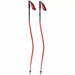 Swix Online Store -Swix Online Store swix world cup pro donwhill poles 1