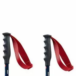 Swix World Cup Pro Donwhill Poles -Swix Online Store swix world cup pro donwhill poles 4