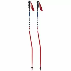 Swix Online Store -Swix Online Store swix world cup pro sg carbon poles 1