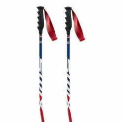 Swix Online Store 29 Swix World Cup Pro SG Carbon Poles