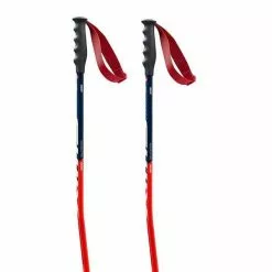Swix Online Store 27 Swix World Cup Pro Super-G Poles