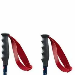 Swix World Cup Pro Super-G Poles -Swix Online Store swix world cup pro super g poles 4